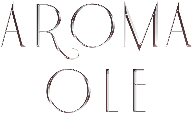 大阪 メンズエステ | REXEED SPAフッターロゴ画像